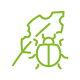 Ungezieferbekämpfung Icon